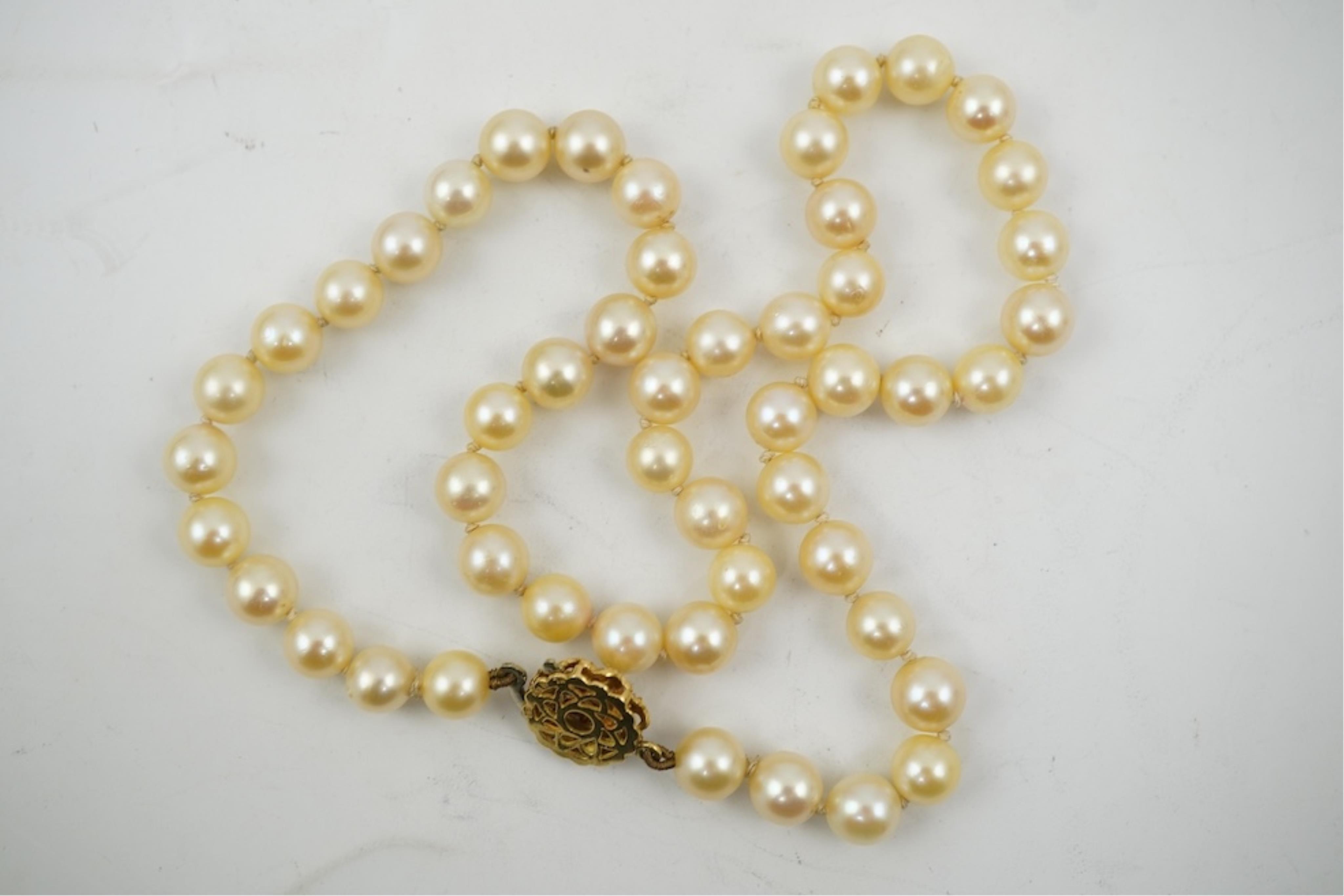 A single strand cultured pearl necklace, wit an 18ct gold, ruby and seed pearl cluster set clasp, 40cm.